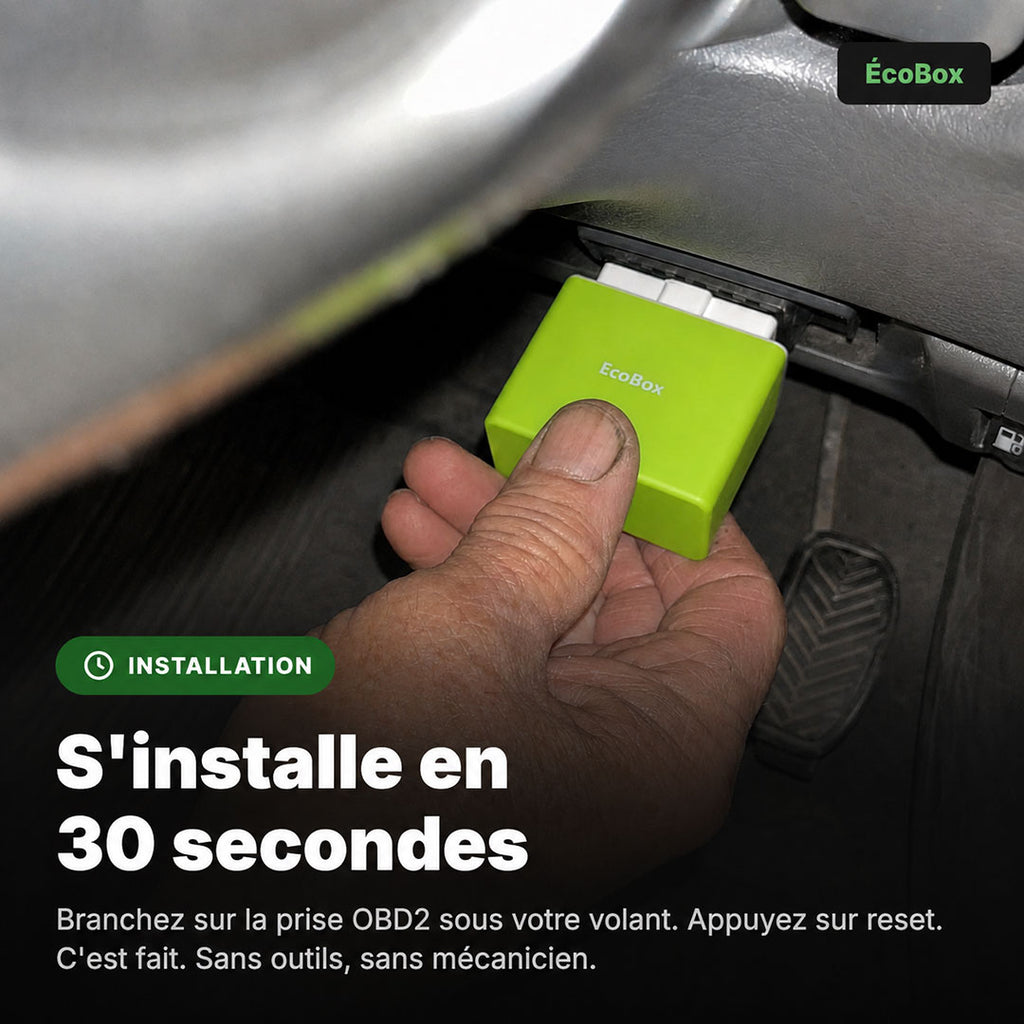 EcoBox
